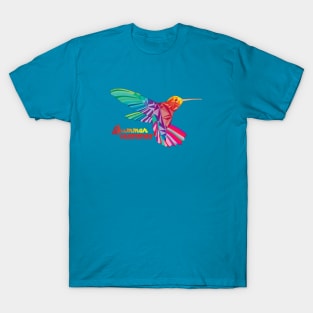 Summer Hummer - Geometric Sunset Colorful Hummingbird T-Shirt